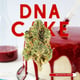 DNA 케이크