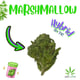 Marshmallow OG POP