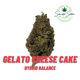 Gelato Cheese Cake