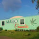 Ferme de cannabis médical, Université Maejo