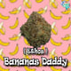 Banana Daddy (Ethos)