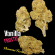 Vanilla Frostis