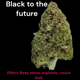 Черный в будущее