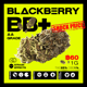 Blackberry  BB+