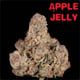 Apple Jelly [ハイブリッド]
