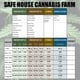 Safe House Cannabis farm