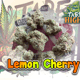 Lemon Cherry