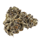 White truffle 