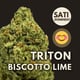 Triton Biscotto Lime