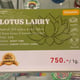 Lotus Larry