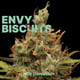 Envy Biscuit