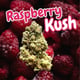 Raspberry Kush