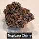 Tropicana Cherry 1 gram pre roll 