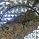 Adabs Cannabis Cafe