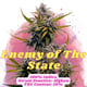 Enemy of The State