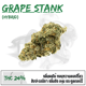 Grape Stank (Exotic)