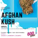 Afghanischer Kush