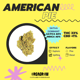 amerikanischer Kuchen