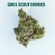 Biscuits Scout Girl