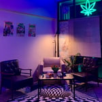 Cannabis Cafe (Art for All)