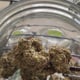PPP GROWER SHOP สาขา2 บ้านเพ