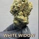 White Widow Buds