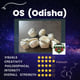 OS (ODISHA) MAGIC MUSHROOM