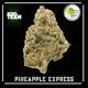 Pineapple Express (อินทรีย์)