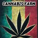 B&B Cannabis Farm