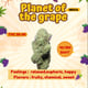 Planet of the Grape