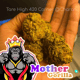 Mutter Gorilla