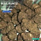Blue Runtz