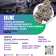 Lilac diesel (Ethos genetics) 