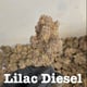 Lila diesel