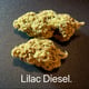 Diesel lilas
