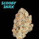 Scooby Snax [indica]