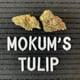 Mokum 's Tulip