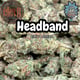 Headband (Green House)
