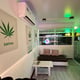 H.O.W House Of Weed