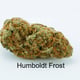 Humboldt Frost