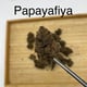 Papayafiya