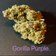 Gorille Violet
