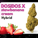 DosidosXstrawberrynana cream