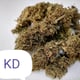 SKP Cannabis - Hanf