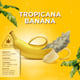 Tropische Banane