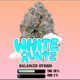 White Runtz