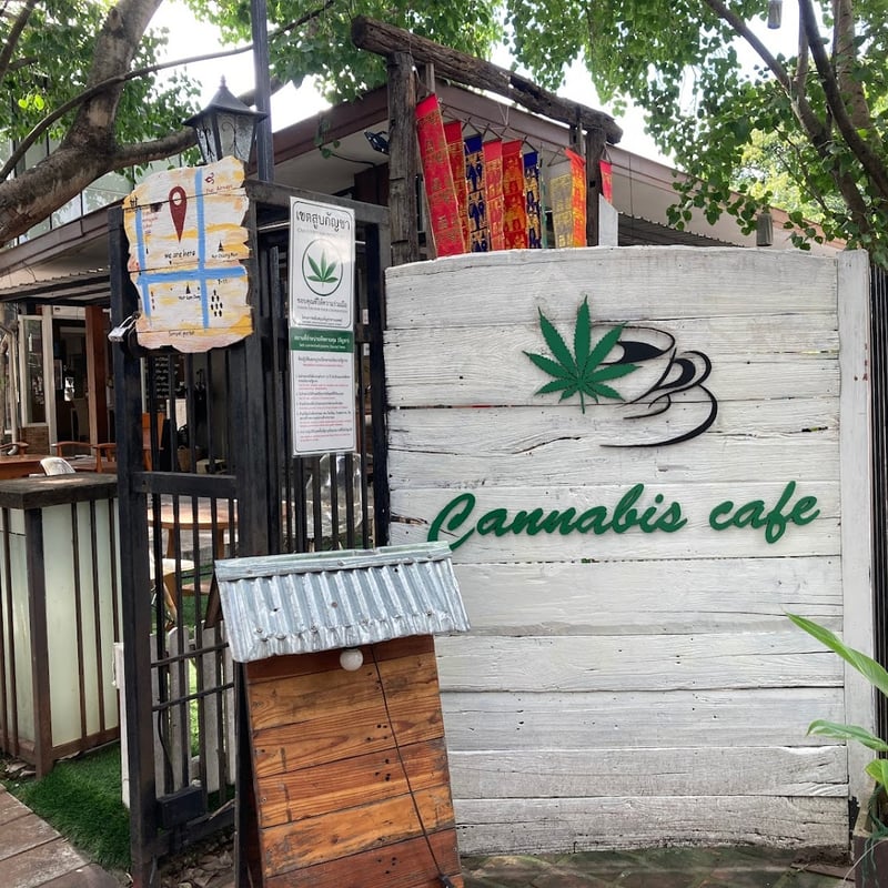 Cannabis cafe in Chiang Mai, Thailand
