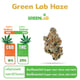 Green Lab Haze