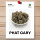 Phat Gary