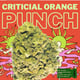Critical Orange Punch